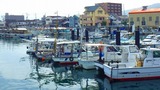 IMGP9363