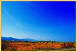 DSCF1238
