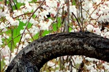 DSCN2696