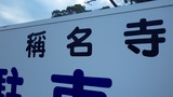 IMGP8780
