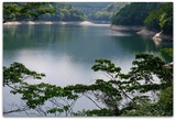 DSCF1871