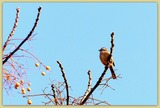 DSCF3581