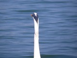 IMG_0009