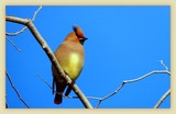 DSCN2202