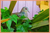 DSCN9743