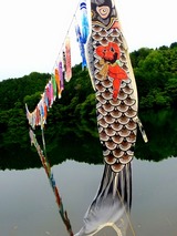 DSCN9704