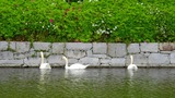DSCN9826