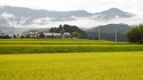 DSCN2465