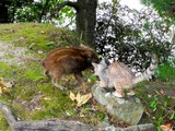 DSCN1822