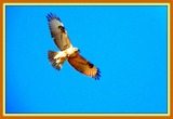 DSCN2128