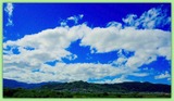 DSCF9961