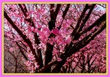 DSCF1144