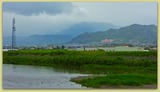 DSCN9959