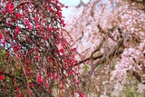 DSCF1179