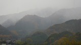 IMGP7087