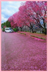 DSCF1298