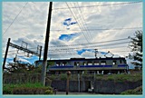 DSCF6239