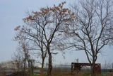 DSCN7269