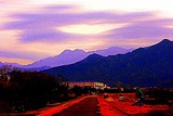 DSCN7287