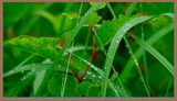 DSCF5208
