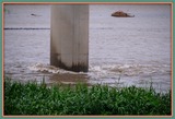 DSCF5523