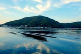 DSCF1718