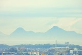 DSCN2754