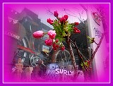 DSCF0049