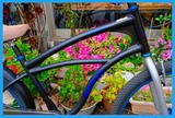 DSCF8966