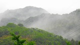 DSCN9876