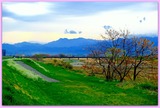 DSCF1344