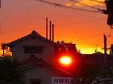 IMG_0843