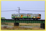 _DSF0336