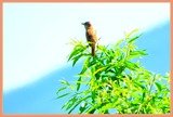 DSCN9730
