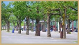 DSCF5305