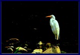 DSCN4809