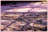 DSCF3772