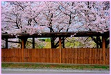 DSCF1403