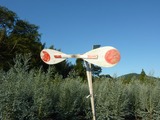 pana 004_800