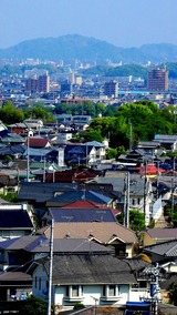 DSCN0050