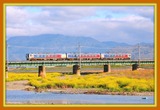 DSCF1161