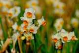 DSCF8772