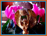 DSCF1045