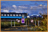 _DSF2230