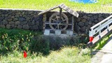 DSCN2367