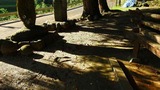 DSCN2357