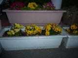 P1080237_800