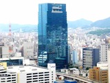 DSCN5446