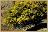 DSCF3571