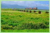 DSCF0185